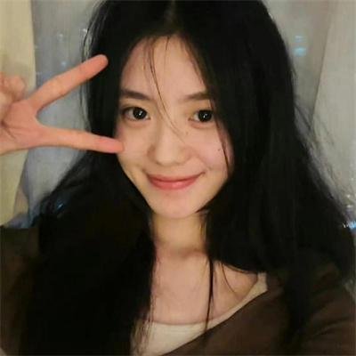 大明星醒目狗